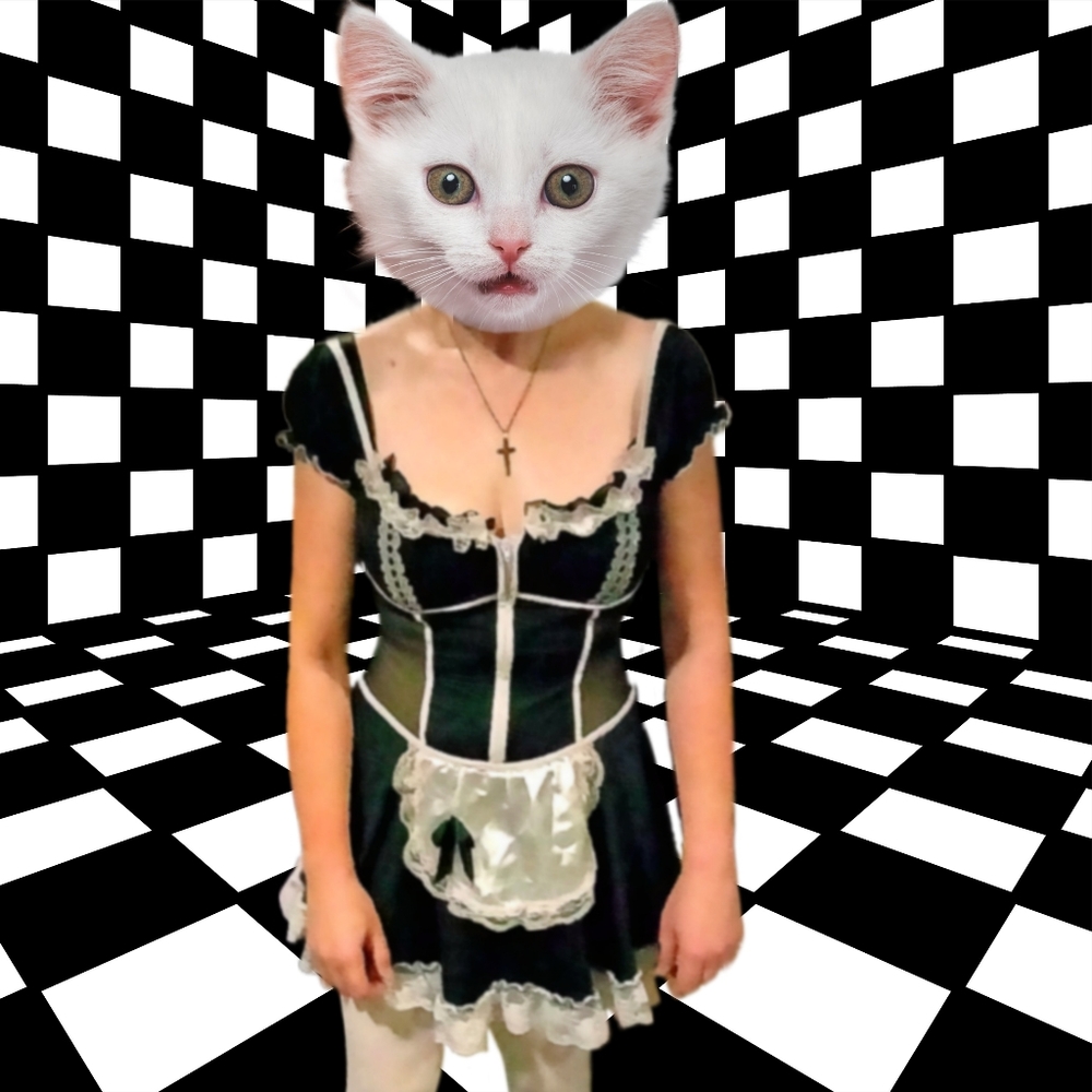 Vtg French Maid Costume - Picture 8 of 10